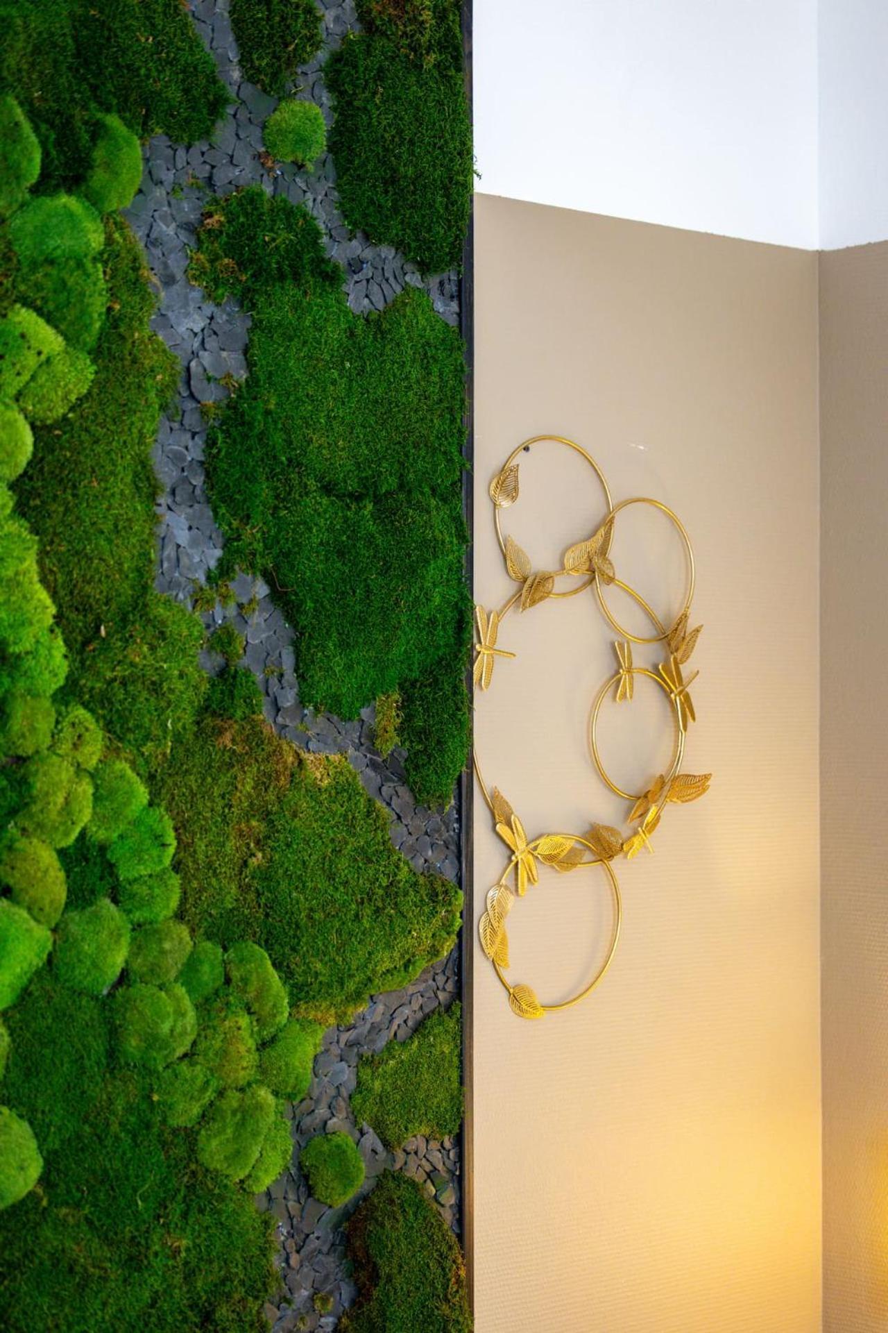 Le Lucien Eco-Appart'Hotel - Angouleme - Centre - Wifi - Parking Prive - Classe 4 Etoiles 외부 사진